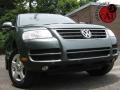 Reed Green Metallic - Touareg V6 Photo No. 1