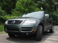 Reed Green Metallic - Touareg V6 Photo No. 4