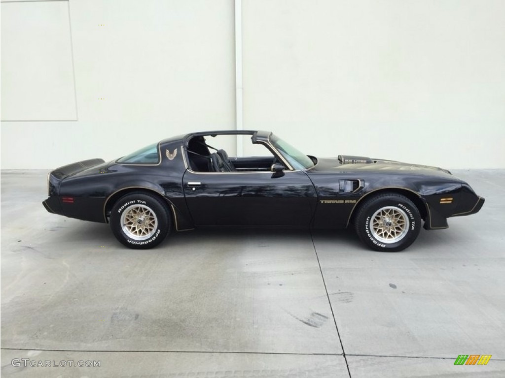 1979 Firebird Trans Am - Black / Black photo #3