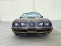 Black - Firebird Trans Am Photo No. 4