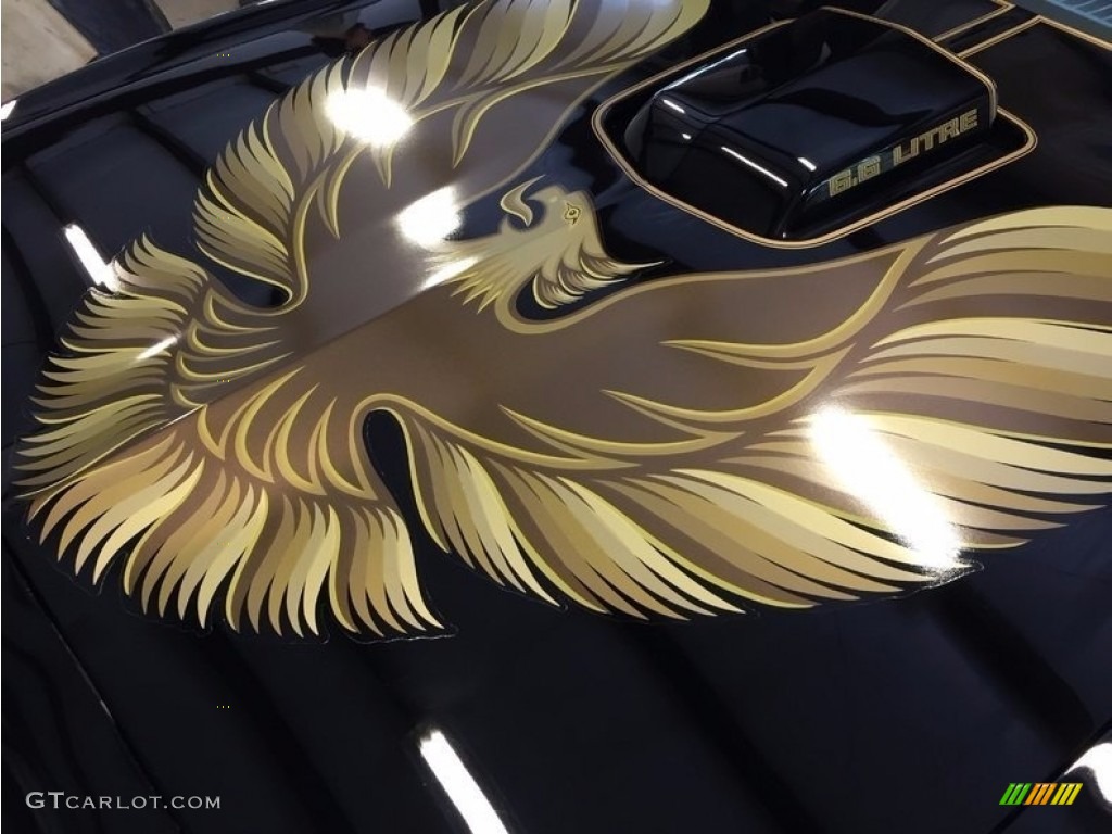1979 Firebird Trans Am - Black / Black photo #8