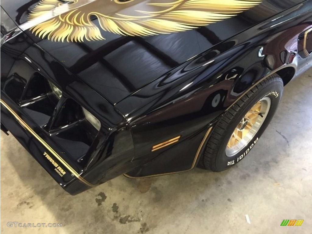 1979 Firebird Trans Am - Black / Black photo #10