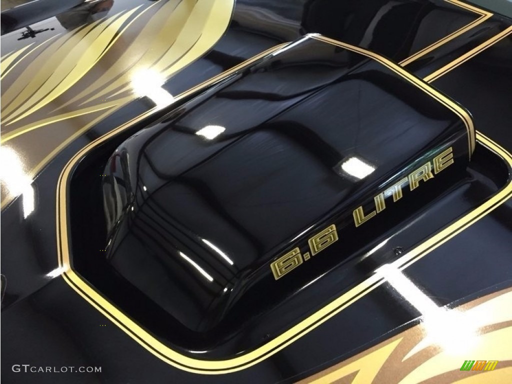 1979 Pontiac Firebird Trans Am Marks and Logos Photos