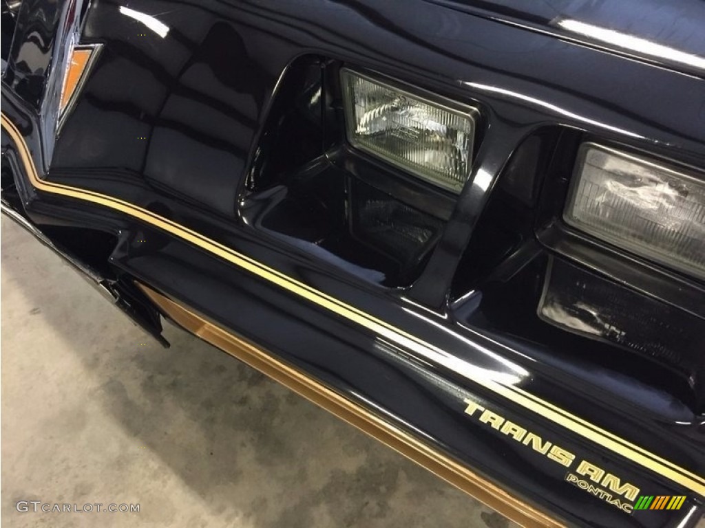 1979 Firebird Trans Am - Black / Black photo #15