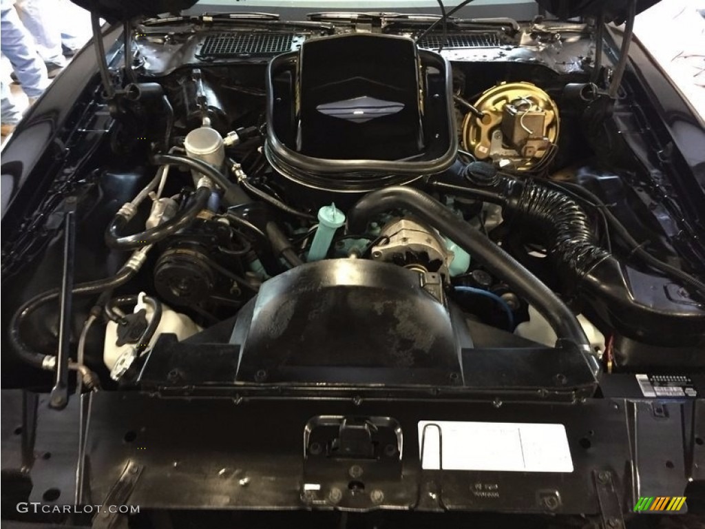 1979 Pontiac Firebird Trans Am 403ci 6.6 Liter Engine Photo #121102795