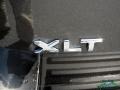 Magnetic - Expedition EL XLT 4x4 Photo No. 42