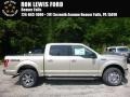 White Gold - F150 XLT SuperCrew 4x4 Photo No. 1