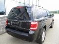 Ebony Black - Escape XLT 4WD Photo No. 16