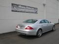 Iridium Silver Metallic - CLS 500 Photo No. 14