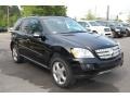 Black - ML 350 4Matic Photo No. 1