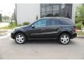 Black - ML 350 4Matic Photo No. 2