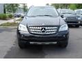 Black - ML 350 4Matic Photo No. 14