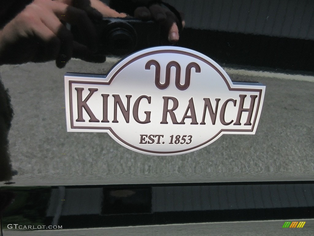 2016 F250 Super Duty King Ranch Crew Cab 4x4 - Green Gem Metallic / King Ranch Mesa/Adobe photo #17