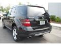 Black - ML 350 4Matic Photo No. 18