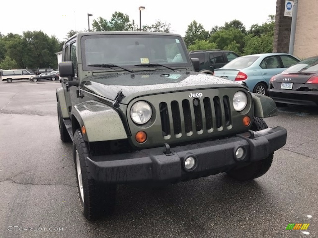 2007 Wrangler Unlimited Sahara 4x4 - Jeep Green Metallic / Dark Slate Gray/Medium Slate Gray photo #2