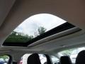 White Gold - Focus SEL Sedan Photo No. 12