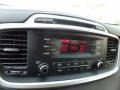 Platinum Graphite - Sorento LX Photo No. 17