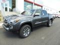 Magnetic Gray Metallic - Tacoma Limited Double Cab 4x4 Photo No. 5