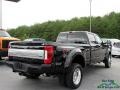 Shadow Black - F450 Super Duty Platinum Crew Cab 4x4 Photo No. 5