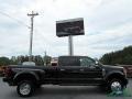 Shadow Black - F450 Super Duty Platinum Crew Cab 4x4 Photo No. 6