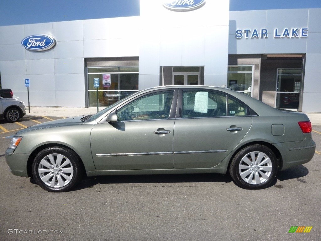 2010 Sonata Limited V6 - Natural Khaki / Camel photo #8