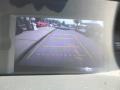 Polished Metal Metallic - Odyssey EX Photo No. 19