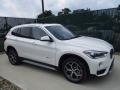 Alpine White - X1 xDrive28i Photo No. 1
