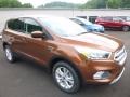 2017 Canyon Ridge Ford Escape SE 4WD  photo #3