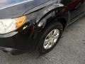 Obsidian Black Pearl - Forester 2.5 X Photo No. 18