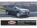 Magnetic Gray Metallic - RAV4 XLE Photo No. 1