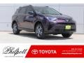 Black Current Metallic 2017 Toyota RAV4 LE