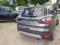 Magnetic - Escape SE 4WD Photo No. 10