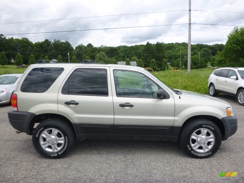 2004 Escape XLT V6 4WD - Gold Ash Metallic / Medium/Dark Pebble photo #4