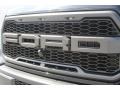 2017 Ford F150 SVT Raptor SuperCrew 4x4 Marks and Logos