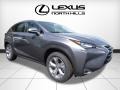 Nebula Gray Pearl - NX 200t AWD Photo No. 1