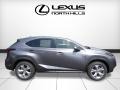 Nebula Gray Pearl - NX 200t AWD Photo No. 2