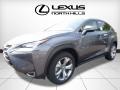 Nebula Gray Pearl - NX 200t AWD Photo No. 4