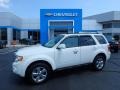 White Suede 2012 Ford Escape Limited V6 4WD
