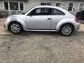 Reflex Silver Metallic - Beetle 2.5L Photo No. 3