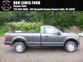 Magnetic - F150 XL Regular Cab 4x4 Photo No. 1