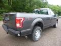 Magnetic - F150 XL Regular Cab 4x4 Photo No. 4