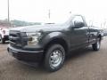 Magnetic - F150 XL Regular Cab 4x4 Photo No. 8