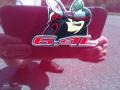 2017 Octane Red Dodge Challenger R/T Scat Pack  photo #29