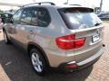 Platinum Bronze Metallic - X5 3.0si Photo No. 11