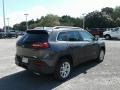 2017 Granite Crystal Metallic Jeep Cherokee Latitude  photo #5