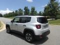 Glacier Metallic - Renegade Sport Photo No. 5