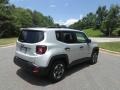 Glacier Metallic - Renegade Sport Photo No. 7