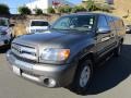 Phantom Gray Pearl - Tundra SR5 Access Cab Photo No. 3