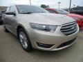 White Gold 2017 Ford Taurus SEL AWD Exterior