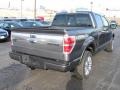 2009 Sterling Grey Metallic Ford F150 Platinum SuperCrew 4x4  photo #4